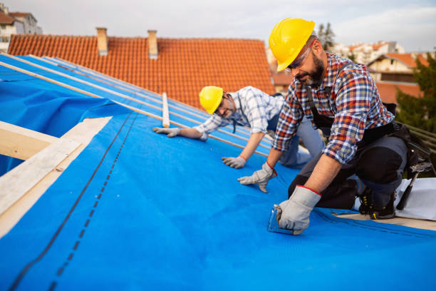 Best Green or Eco-Friendly Roofing Solutions  in Rossville, TN